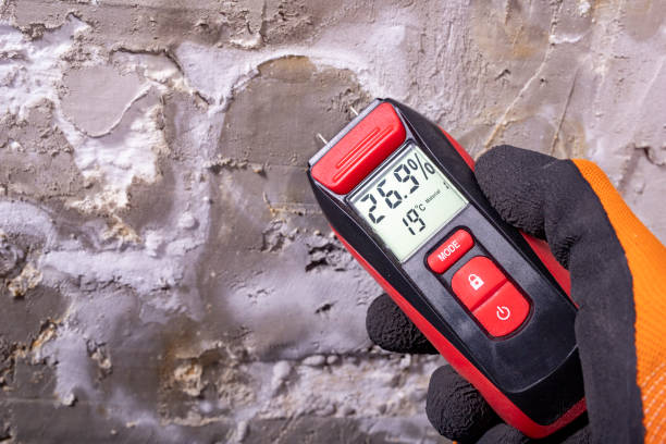 Best Professional Mold Removal  in Ingalls Park, IL